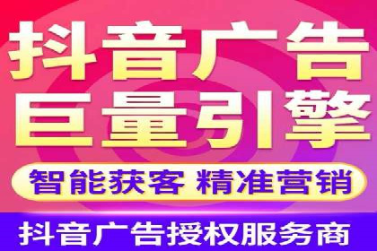 某大型企业利用信息流代理提升数据效率的实践