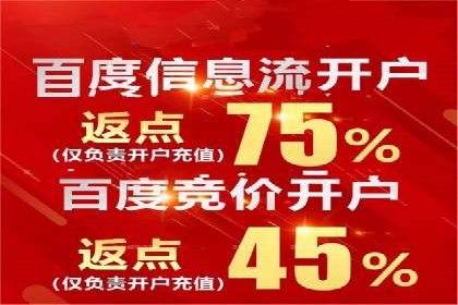 行业领先企业的SEM广告投放策略案例